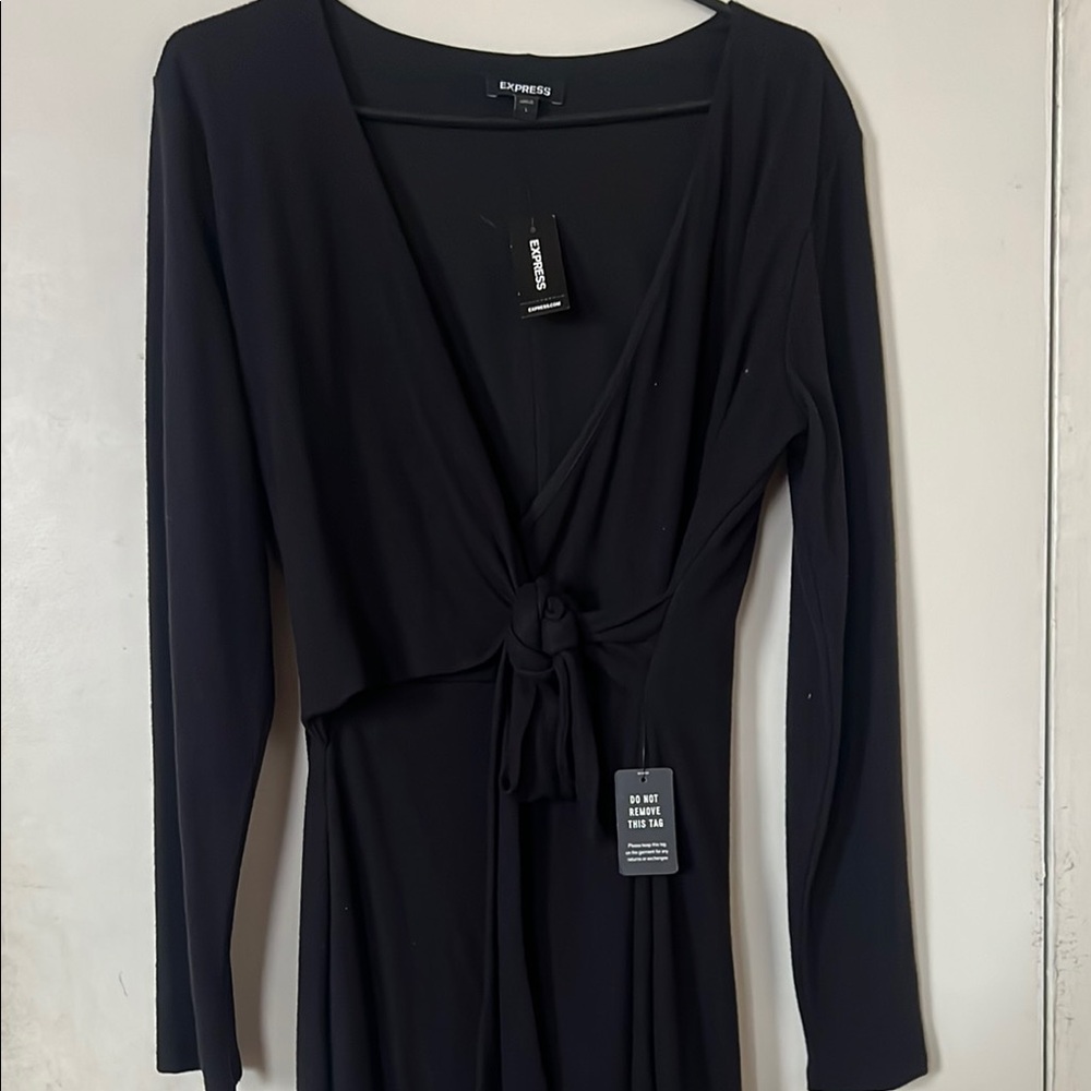 Express Black Long Sleeve Plunge Dress